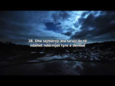 Naser Al-Qatami & Surja Kamer