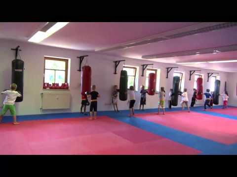 Kampfkatzen in Fight Club Edling