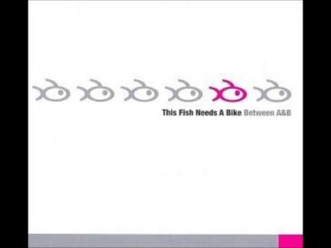 THIS FISH NEEDS A BIKE // BETWEEN A & B