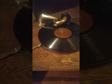 Nimm diese Roten Rosen Fred Marley Tanz Orchester