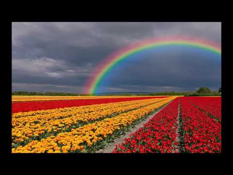 ETOLIE VIPE - THE SUMMER IS MINE (AIRPLAY EDIT) EURODANCE 2014