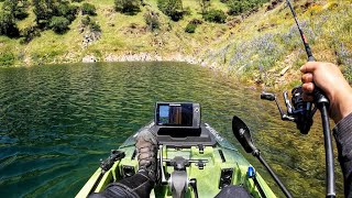 This Lake has come to Life