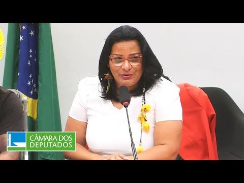 Reunião com líderes indígenas e com articulação dos povos indígenas - 29/10/2024