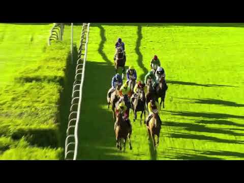 Summershine gewinnt Langen Hamburger in Horn