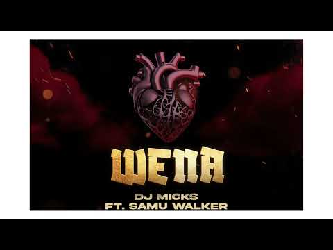 Dj Micks ft Samu Walker - Wena (edit)
