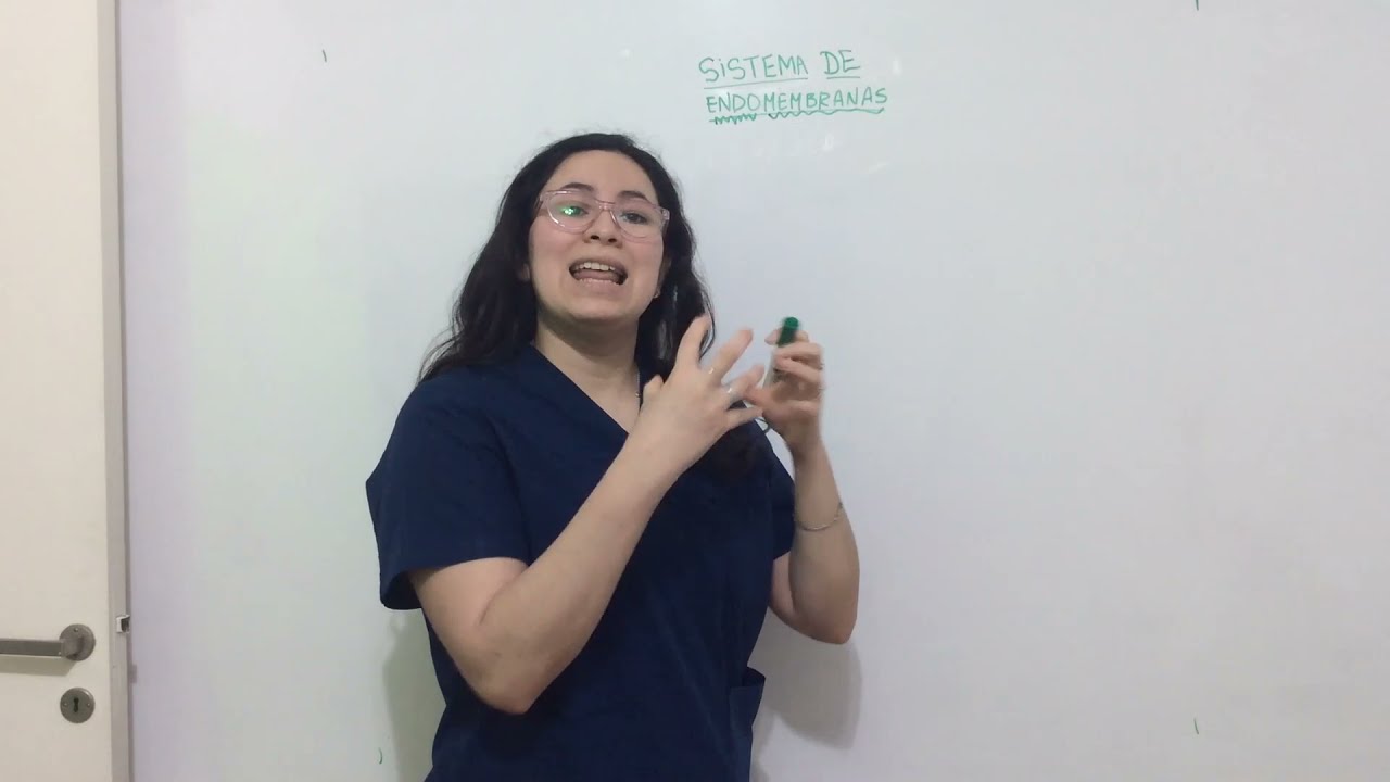 Clase 18. Sistema de ENDOMEMBRANAS. UBAXXI y CBC