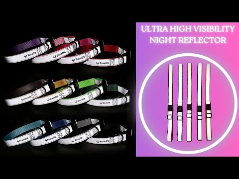 Rovadik Reflective Collar For Dogs And Stray Dogs (High Visibility)