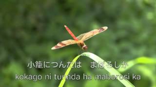 [問卦] 你各位的紅蜻蜓還飛得好嗎？