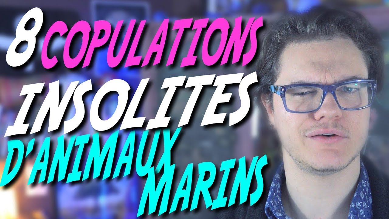 CHRIS : 8 Copulations Insolites d'Animaux Marins