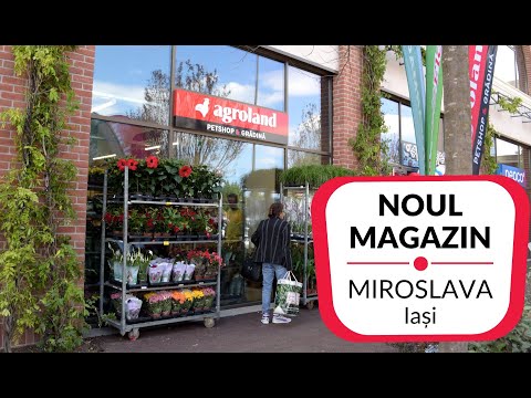 Agroland MEGA Miroslava- Petshop si Gradina - Magazin NOU