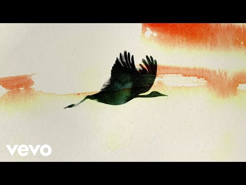 A Hundred Thousand Birds (Visualizer)