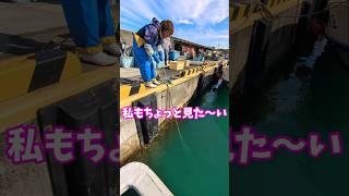 港にかごを入れてみた② #漁師 #漁師の日常 #魚好き