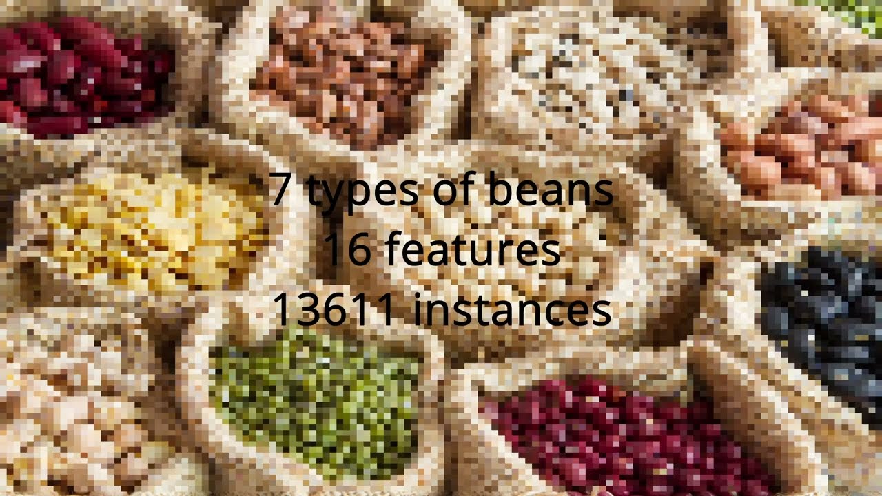 *dry bean classifier (UCI repository)
