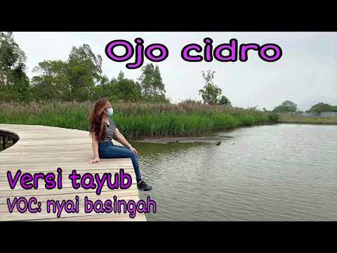 Ojo cidro versi tayub