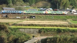 preview picture of video 'JR四国・土佐くろしお鉄道 若井駅 と 沈下橋　四万十町　高知 2014 10'