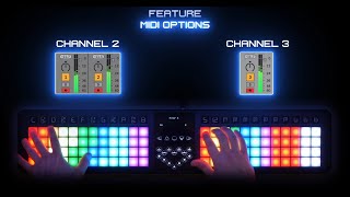 Video thumbnail for TheoryBoard Thy333 | Full Feature Walkthrough by TheoryBoard