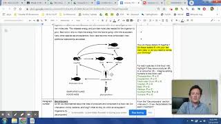 Energy Flow & Matter Cycling in Ecosystems