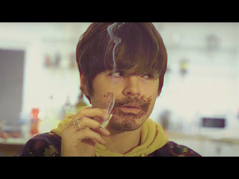 Puffin Clovers - Josh McClorey