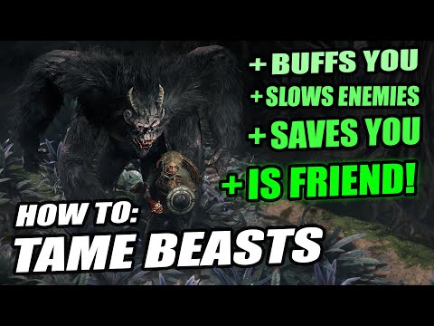 PoE 2: TAME BEAST is Amazing - How to Get Your Perfect Companion for Auras, Debuffs, & Tanking 0.2.0