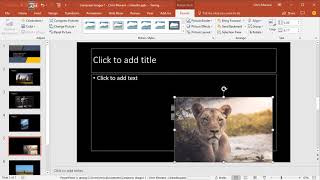 PowerPoint - how to get your images the correct size before inserting them into PPT by Chris Menard