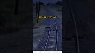 EVERSON ZOIO EM 1899