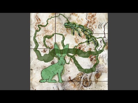 Frog - Gollylagging