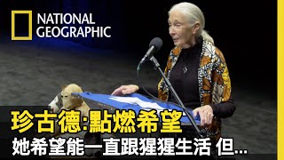 [討論] 珍古德對台灣狒狒事件的看法?