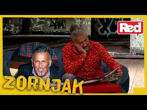 Zornjak - Lizolist za 04.02.2021. - Red TV