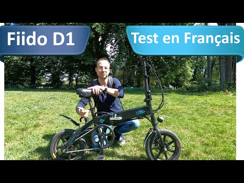 Fiido D1 - The cult electric bike