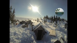 Shipok Polar Bear Hunt 2015