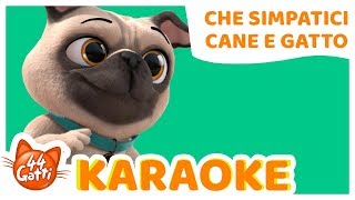 Musik-Video-Miniaturansicht zu Che simpatici Cane e Gatto Songtext von Buffy Cats -44 Gatti-