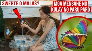Mga Kahulugan at Mensahe ng Kulay ng Paru Paro | Swerte ang Dapuan Nito | Mister Di