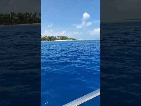 #mobilevideography #island #pocox5pro5g #ocean #islandlife #trending #dolphin @xiaomi