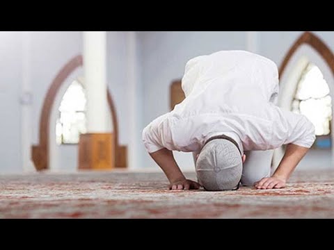 Si mund të falen 4 rekatë sunet bashkë, dhe çfarë duhet të themi?