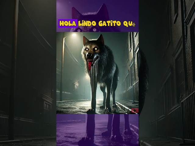 Vídeo relacionado con Camisa de manga corta para hombre con motivos de gatos negros, camisa de ocio amarilla con estampado de animales | Divertida camisa de verano para amantes de los gatos, Style_v01 Negro, XL