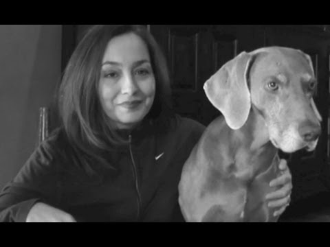 Slawsa Shark Tank Pitch