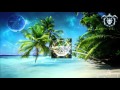 Insa241 Dawnwing Raggamuffin Fever Original Mix