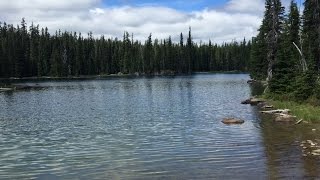 Here I Am: A Wilderness Story