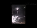 Johnny Thunders - Courageous Cat
