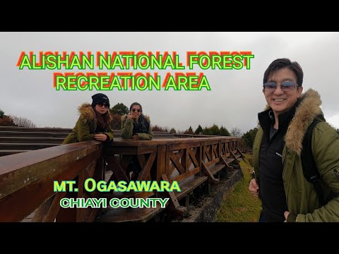 ÁREA DE RECREAÇÃO DA FLORESTA NACIONAL DE ALISHAN#taiwantravel #taiwan #chiayi #chiayitaiwan#forest