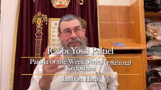 תובנות תורה, פרש קדושים לשון הרה, רבי יוסי פלטייל 5782 - 2022