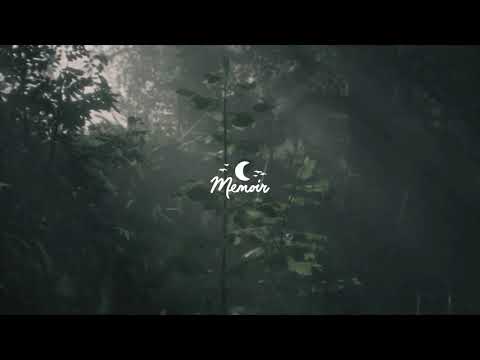 Elskavon - Patience (Bloom) - ambient, post-rock & organic chill 🌙