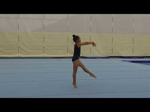 Level 4 Whistle Routine || WAG floor routines