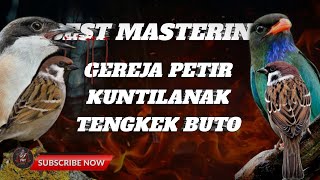 Download lagu 🔴 MASTERAN CENDET GEREJA PETIR ,KUNTILANAK ,TENGKEK BUTO mp3 Download lagu 🔴 MASTERAN CENDET GEREJA PETIR ,KUNTILANAK ,TENGKEK BUTO mp3