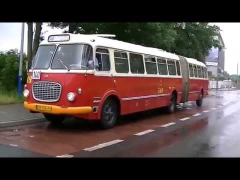 Jak zrobić w domu autobusem koślawego Kości w pobliżu dużego palca