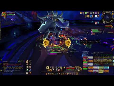 World Of Warcraft / Raid Palais Éternel / Boss Za'Qul héraut de Ny'alotha / LFR