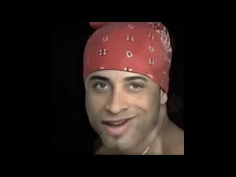 Ricardo Milos Sings Basshunter DotA