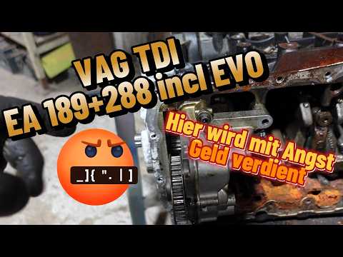 VAG Zahnriemen in Öl "Warum wird immer dieser Blödsinn  generiert mit dem EA189+288 Evo