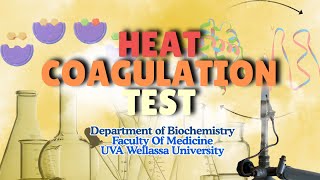 Heat Coagulation Test Explained | Principle, Procedure & Interpretation