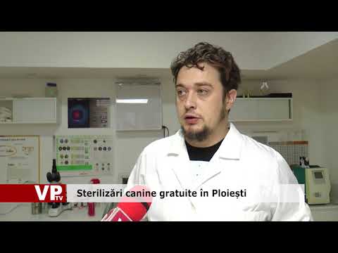 Sterilizări canine gratuite în Ploiești